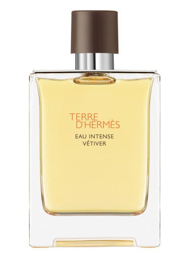 TESTER HERMES TERRE D'HERMES INTENSE VETIVER 100ML EDP