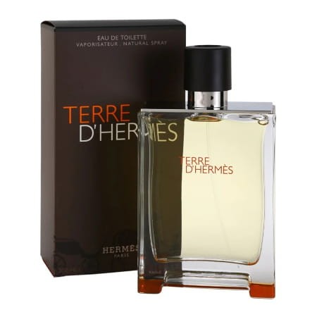 HERMES TERRE D'HERMES 100ML EDT