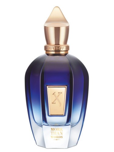 XERJOFF MORE THAN WORDS 100ML EDP