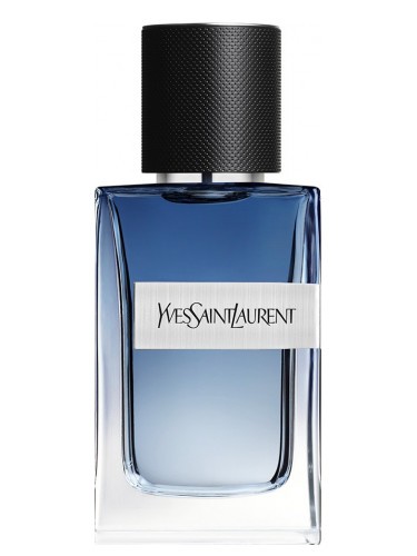 YVES SAINT LAURENT Y LIVE 100 ML EDT INTENSE