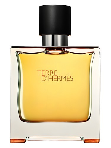HERMES TERRE D'HERMES PARFUM 100 ML