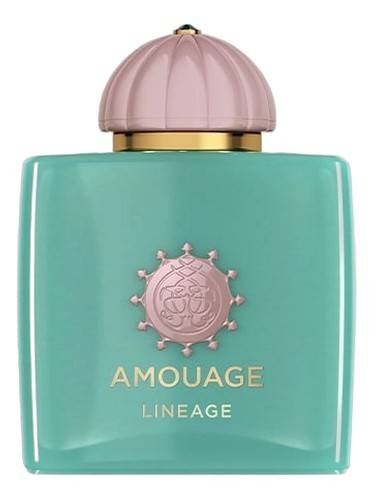 AMOUAGE LINEAGE 100 ML EDP