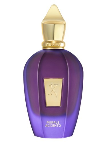 XERJOFF PURPLE ACCENTO 100ML EDP