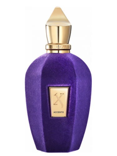 XERJOFF ACCENTO 100ML EDP