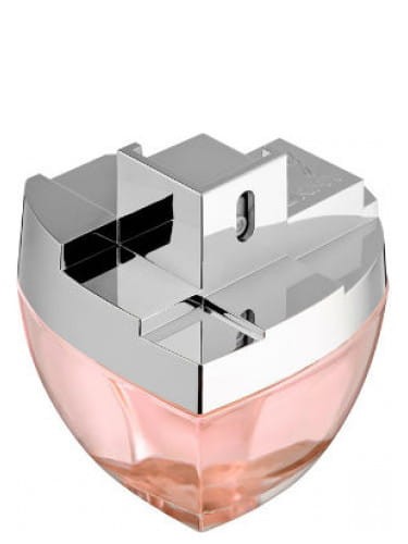 TESTER DKNY MY 100ML EDP